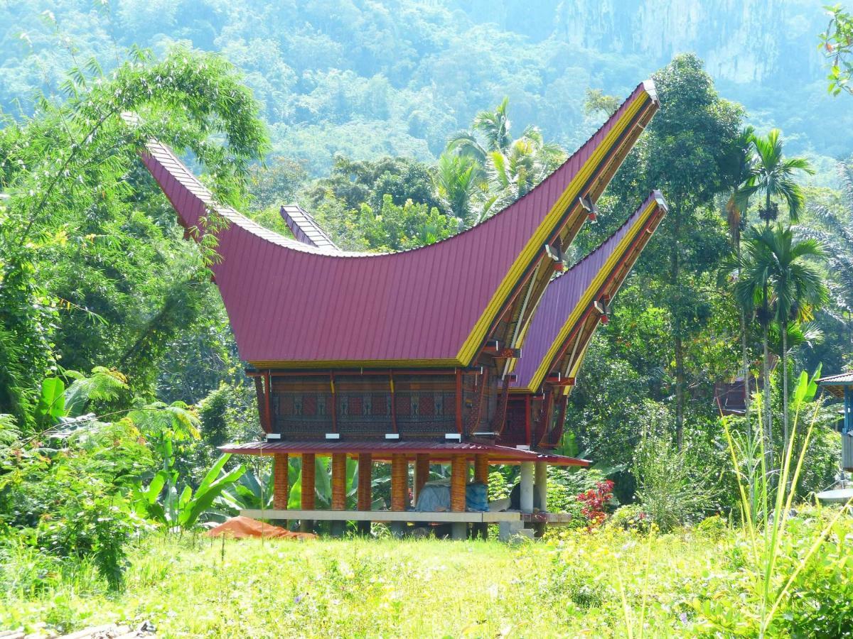 Toraja Torsina Hotel Rantepao Kültér fotó